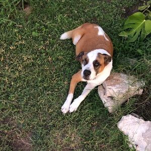 Meet your Posher, Max